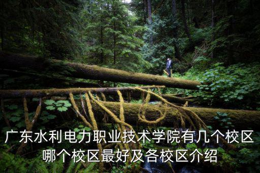 廣東水利電力職業(yè)技術(shù)學(xué)院有幾個(gè)校區(qū)哪個(gè)校區(qū)最好及各校區(qū)介紹