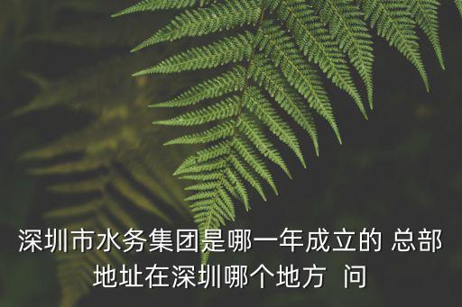 深圳水務集團，深圳市水務集團在哪