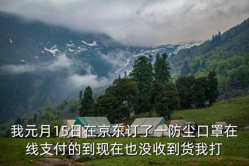 我元月15日在京東訂了一防塵口罩在線支付的到現在也沒收到貨我打