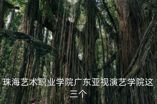 珠海藝術職業學院廣東亞視演藝學院這三個