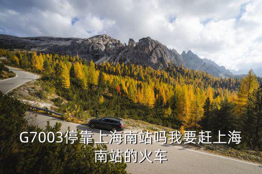G7003停靠上海南站嗎我要趕上海南站的火車