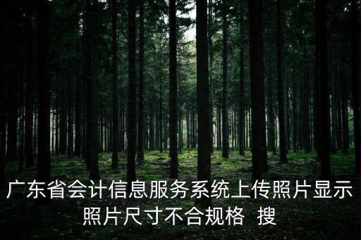 廣東省會計信息服務系統上傳照片顯示照片尺寸不合規格  搜