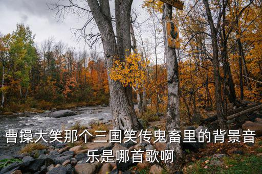 曹操大笑那個三國笑傳鬼畜里的背景音樂是哪首歌啊