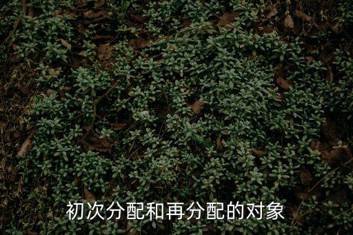 初次分配和再分配的對象