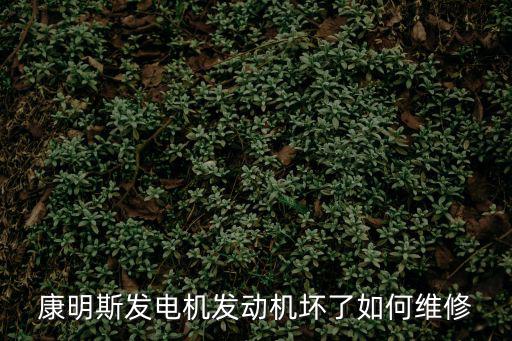 康明斯發(fā)電機(jī)發(fā)動(dòng)機(jī)壞了如何維修