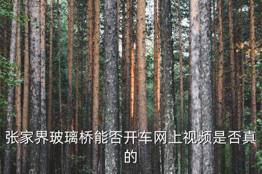 張家界玻璃橋圖片，在張家界玻璃天橋拍照怎么擺姿勢