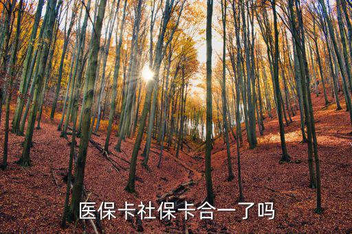 醫保卡社保卡合一了嗎，社保卡和醫保卡合一了嗎