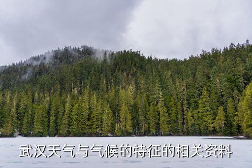 武漢天氣與氣候的特征的相關資料