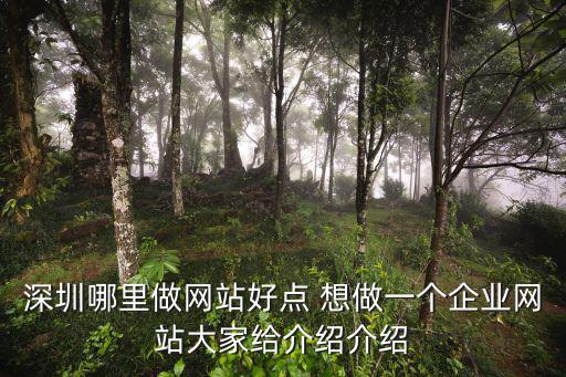 深圳哪里做網(wǎng)站好點(diǎn) 想做一個(gè)企業(yè)網(wǎng)站大家給介紹介紹
