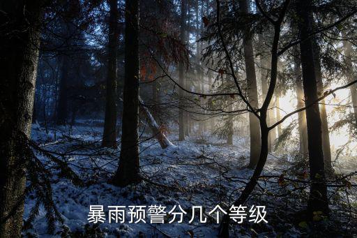 暴雨預警分幾個等級