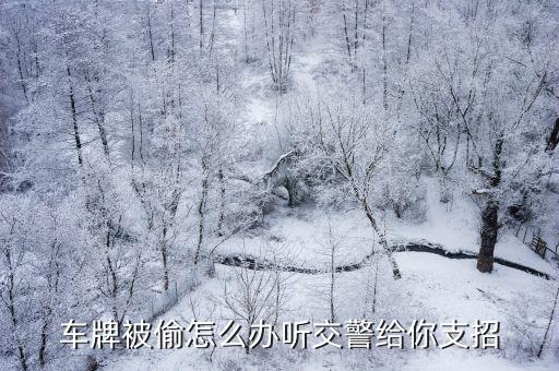 車牌被偷怎么辦聽交警給你支招