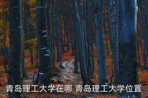 青島理工大學黃島校區(qū)，青島理工大學黃島校區(qū)的具體位置