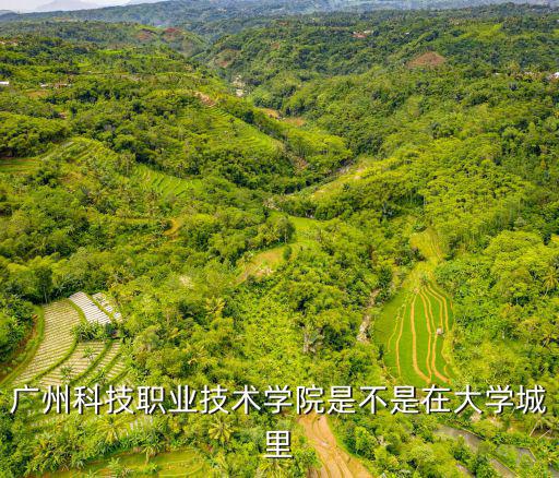 廣州科技職業(yè)技術學院是不是在大學城里