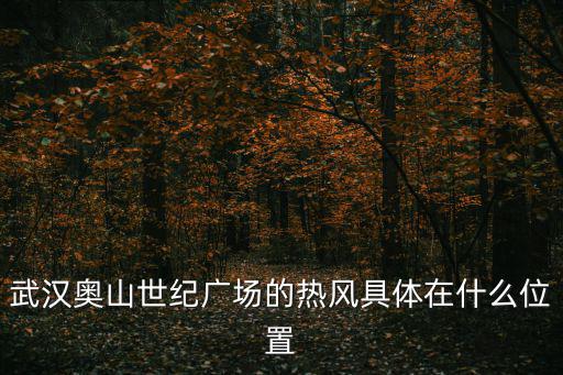 武漢奧山世紀廣場的熱風具體在什么位置