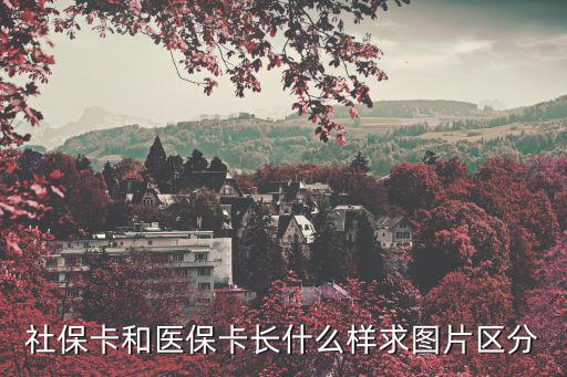 社保卡和醫保卡長什么樣求圖片區分