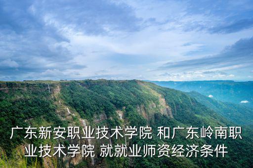 廣東新安職業技術學院 和廣東嶺南職業技術學院 就就業師資經濟條件