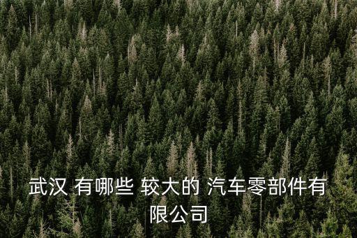 武漢 有哪些 較大的 汽車零部件有限公司