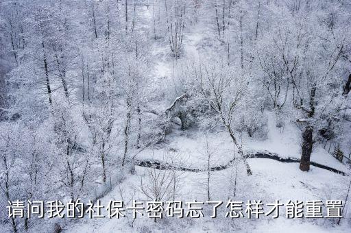 請問我的社保卡密碼忘了怎樣才能重置