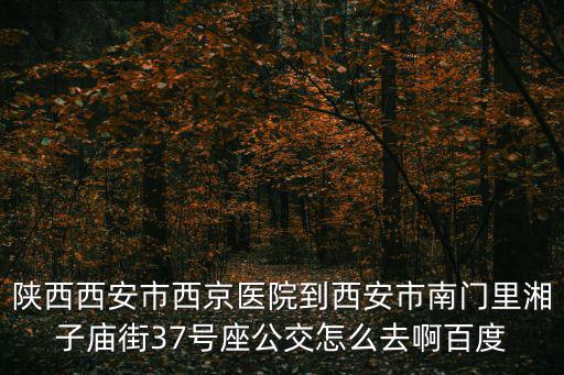 湘子廟街，陜西西安市西京醫院到西安市南門里湘子廟街37號座公交怎么去啊百度