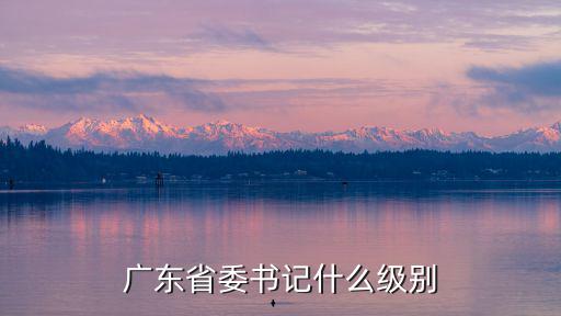 廣東省委書記什么級別