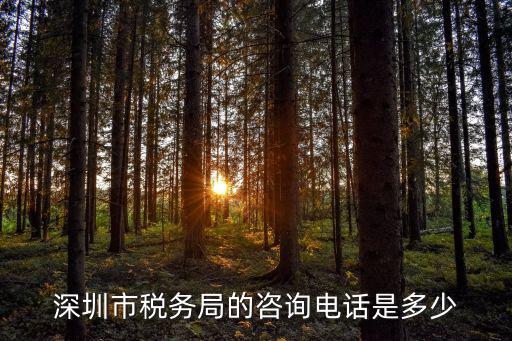 深圳國家稅務局，深圳市國稅稅務征收綜合大廈在哪