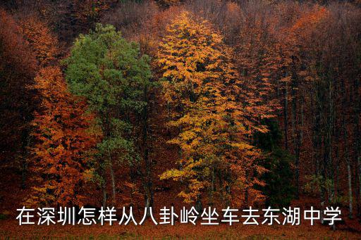 在深圳怎樣從八卦嶺坐車去東湖中學(xué)