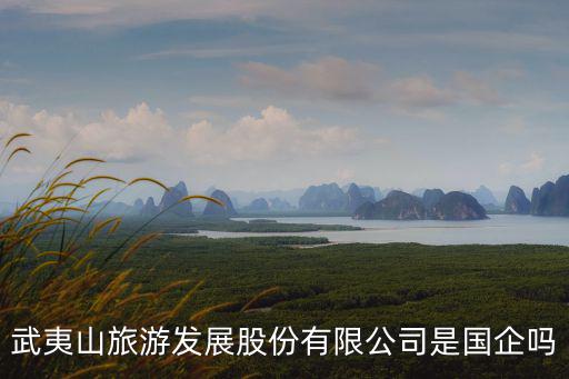 武夷山旅游發(fā)展股份有限公司是國企嗎