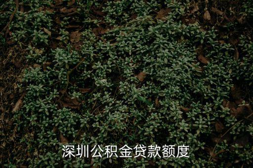 深圳公積金貸款額度
