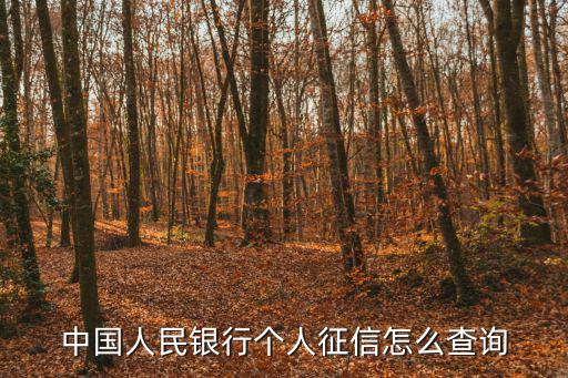 人行征信中心個人查詢，中國人民銀行征信中心如何查詢個人征信