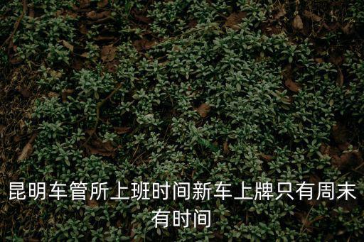 車管所上班時間，昆明車管所上班時間新車上牌只有周末有時間