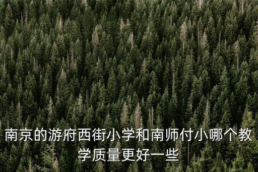南京的游府西街小學(xué)和南師付小哪個教學(xué)質(zhì)量更好一些