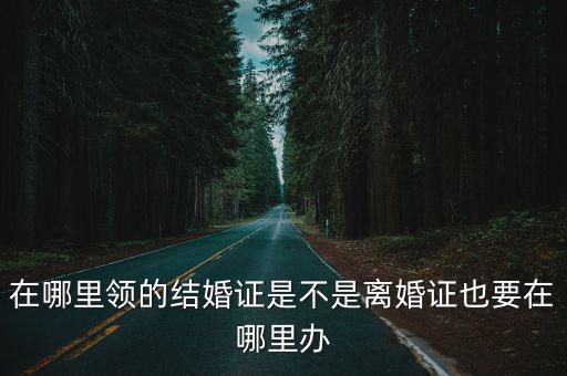在哪里領的結婚證是不是離婚證也要在哪里辦