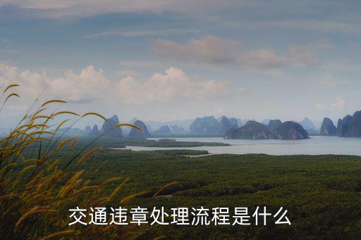 交通違章處理流程，交通違章處理流程是什么