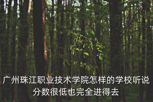 廣州珠江職業(yè)技術學院怎樣的學校聽說分數(shù)很低也完全進得去