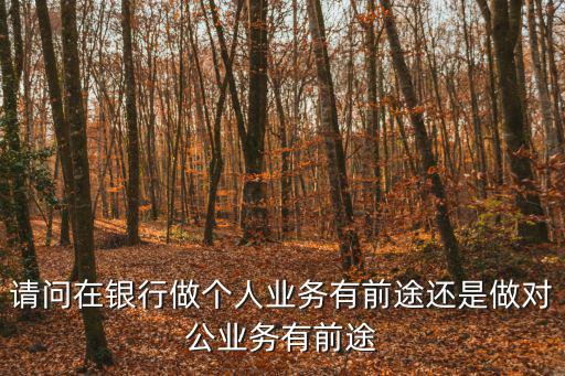 個人業務，請問在銀行做個人業務有前途還是做對公業務有前途
