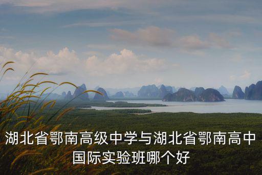 湖北省鄂南高級中學與湖北省鄂南高中國際實驗班哪個好