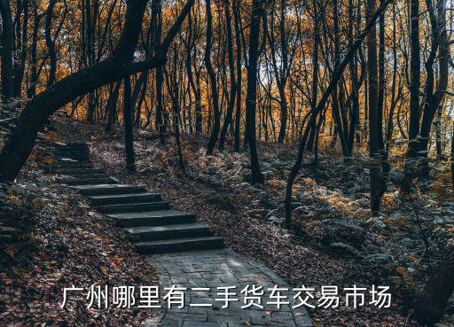 廣州哪里有二手貨車交易市場(chǎng)