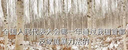 全國人民代表大會哪一年通過我國首部反家庭暴力法的