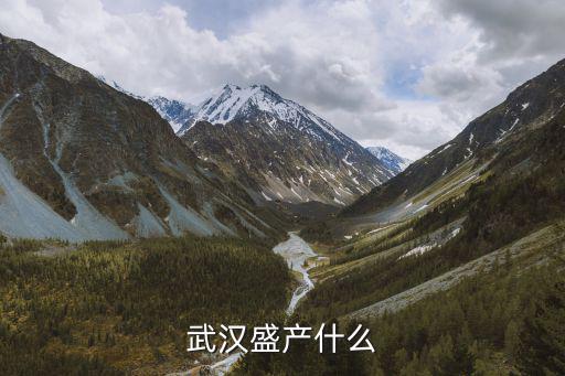 武漢盛產什么