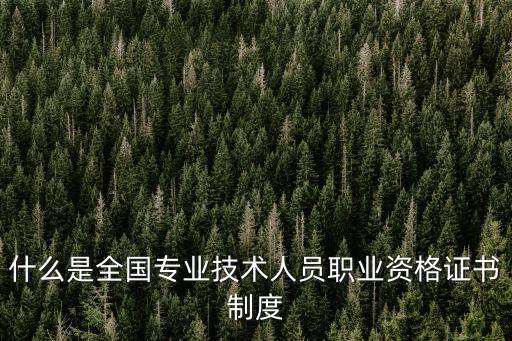 什么是全國(guó)專業(yè)技術(shù)人員職業(yè)資格證書制度