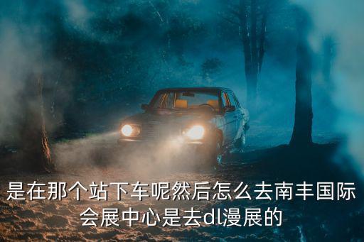 是在那個(gè)站下車(chē)呢然后怎么去南豐國(guó)際會(huì)展中心是去dl漫展的