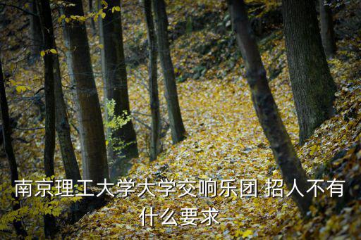 南京理工大學大學交響樂團 招人不有什么要求