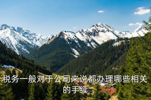 稅務一般對于公司來說都辦理哪些相關的手續(xù)
