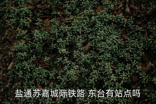 鹽通蘇嘉城際鐵路 東臺(tái)有站點(diǎn)嗎