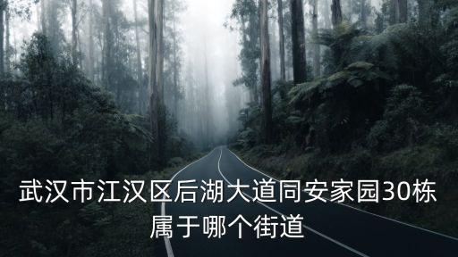 后湖街道，武漢市江岸區后湖街道岱山的還建房什么時候交房
