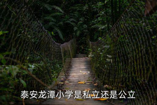 泰安龍潭小學是私立還是公立