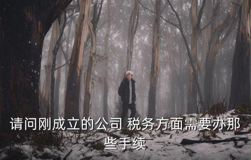 請問剛成立的公司 稅務方面需要辦那些手續(xù)