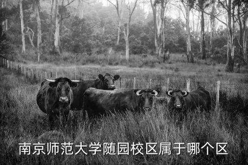 南京師范大學隨園校區屬于哪個區