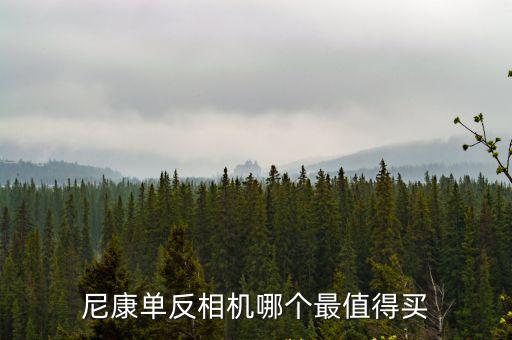 尼康單反相機哪個最值得買