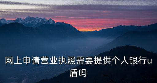 網(wǎng)上申請營業(yè)執(zhí)照需要提供個人銀行u盾嗎